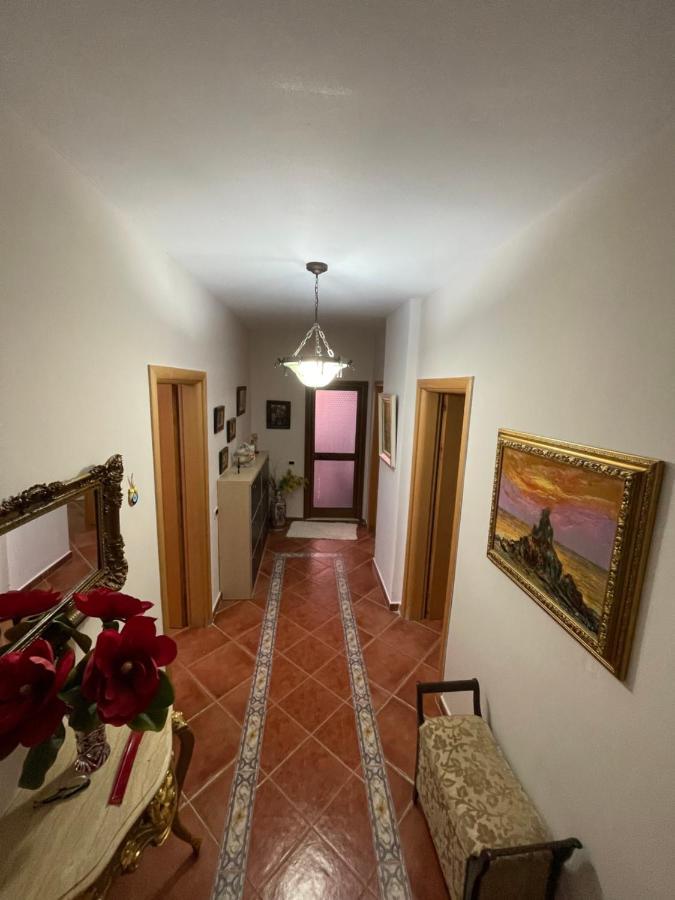 Venus - Cozy Apt With Terrace Wlora Zewnętrze zdjęcie