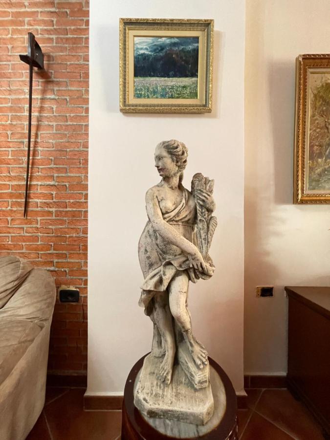 Venus - Cozy Apt With Terrace Wlora Zewnętrze zdjęcie