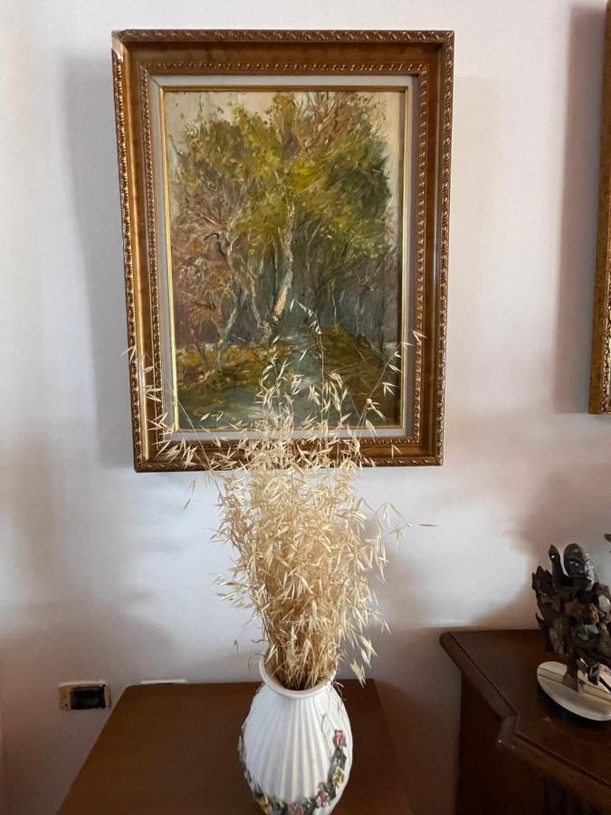 Venus - Cozy Apt With Terrace Wlora Zewnętrze zdjęcie