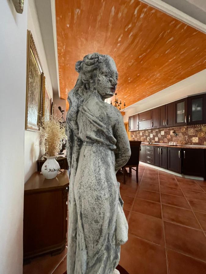 Venus - Cozy Apt With Terrace Wlora Zewnętrze zdjęcie